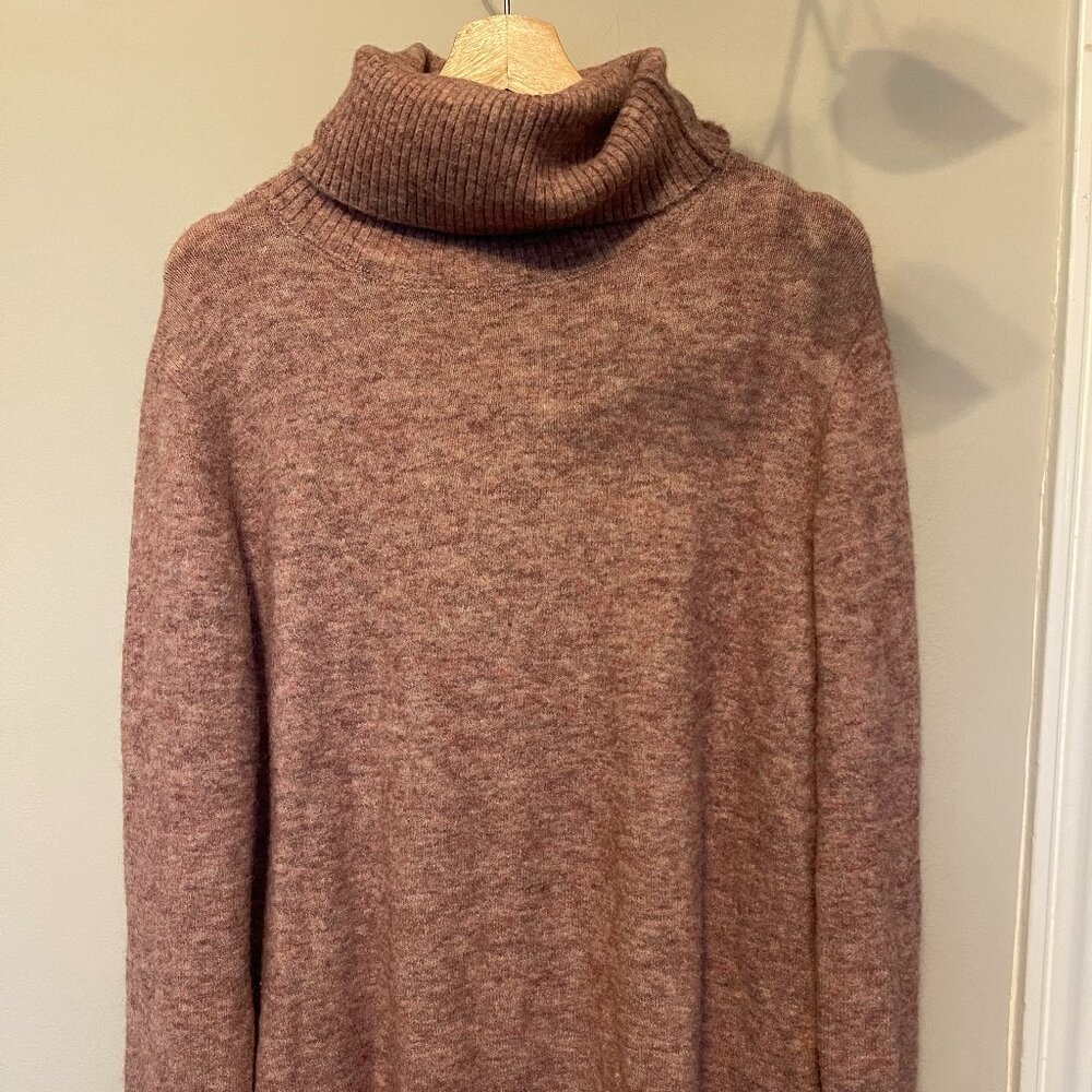Aritzia Alpaca-blend turtleneck, M